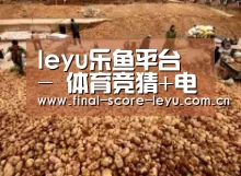 种植基地二