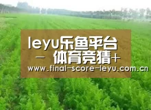 种植基地四