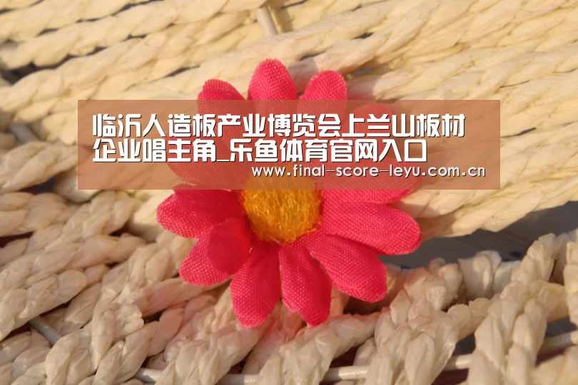 乐鱼体育官网入口