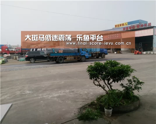 大斑马低迷震荡-乐鱼平台(图4) 乐鱼体育官网入口